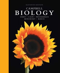 Read more about the article Campbell Biology (11th Edition) – eBook