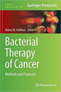 Read more about the article Bacterial Therapy of Cancer: Methods and Protocols – eBook PDF