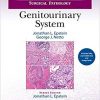 Differential Diagnoses in Surgical Pathology: Genitourinary System – eBook PDF