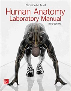Read more about the article Human Anatomy Lab Manual (3rd Edition) – eBook PDF