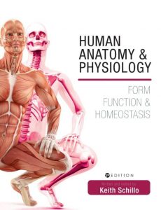 Read more about the article Human Anatomy and Physiology: Form, Function and Homeostasis – eBook PDF