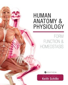 Human Anatomy and Physiology: Form, Function and Homeostasis – eBook PDF
