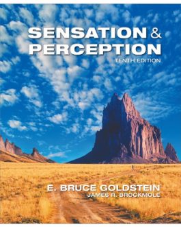 Sensation and Perception (10 Edition) – eBook