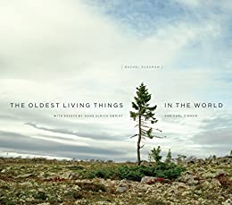 The Oldest Living Things in the World – eBook PDF