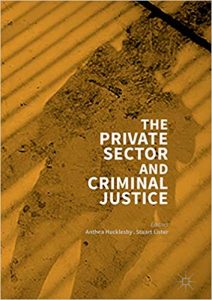 Read more about the article The Private Sector and Criminal Justice – eBook PDF