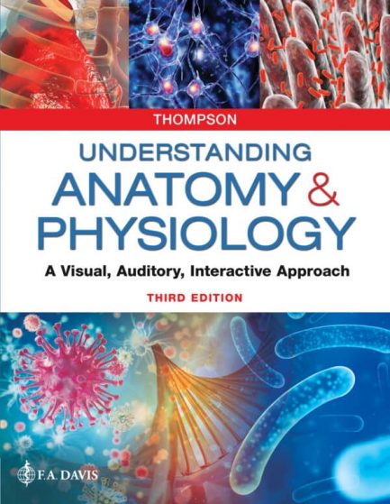 Understanding Anatomy and Physiology: A Visual, Auditory, Interactive Approach (3rd Edition) – eBook PDF