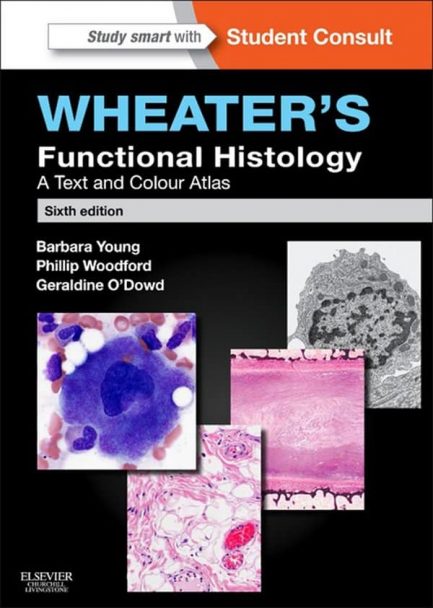 Wheater’s Functional Histology: A Text and Colour Atlas (6th Edition) – eBook PDF