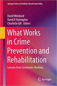 Read more about the article What Works in Crime Prevention and Rehabilitation: Lessons from Systematic Reviews – eBook PDF