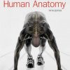 Human Anatomy (5th Edition) – McKinley, O’Loughlin, Pennefather-O’Brien – eBook PDF