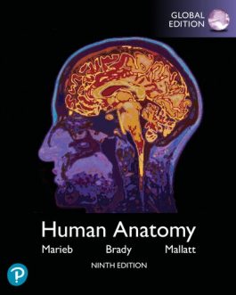 Human Anatomy (9th Global Edition) – Marieb/Mallatt/Brady – eBook PDF