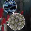 Microbiology (2nd Edition) – Wessner/Dupont/Charles/Neufeld – eBook PDF
