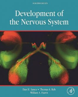 Development of the Nervous System (4th Edition) – eBook PDF