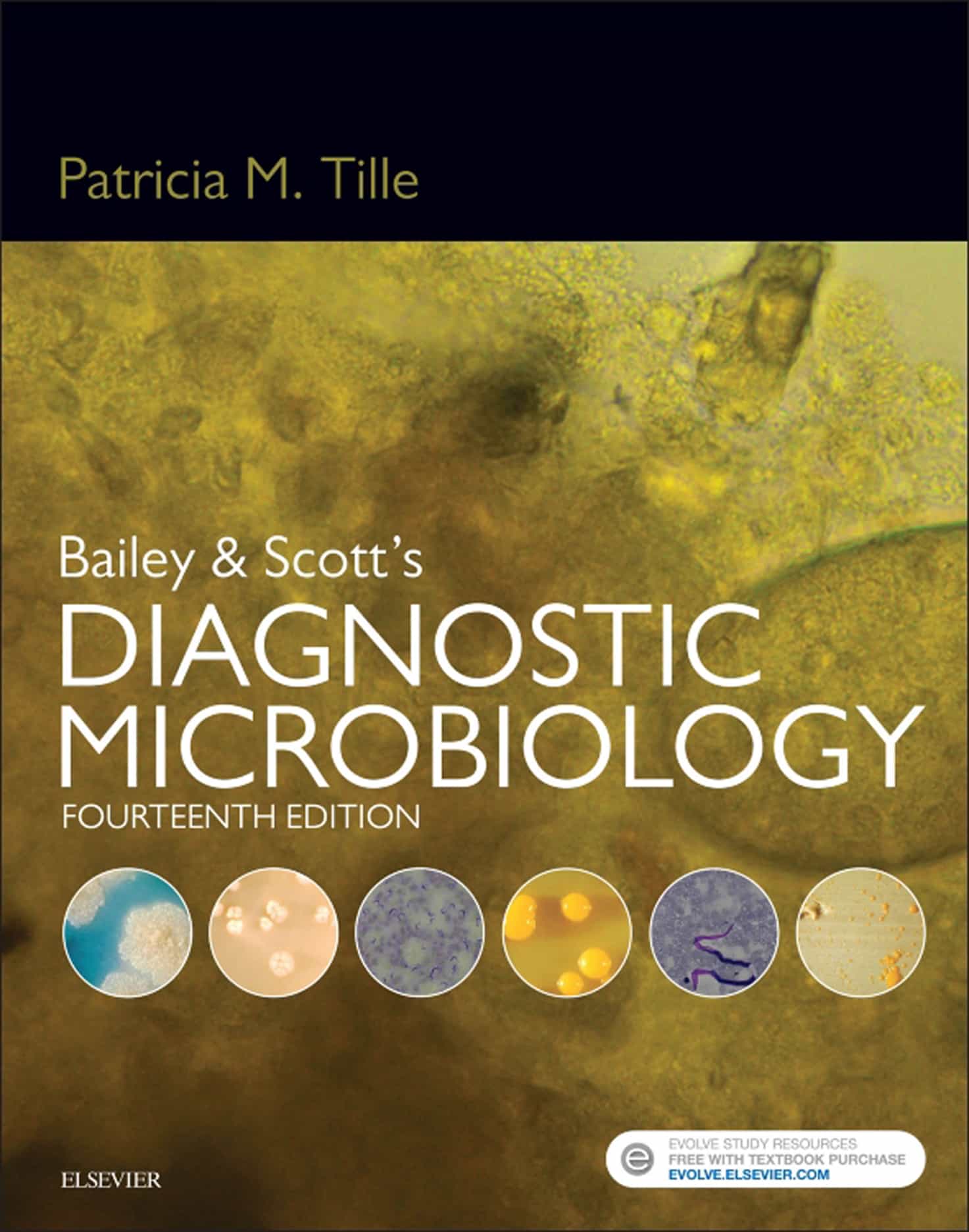 You are currently viewing Bailey and Scott’s Diagnostic Microbiology (14th Edition) – eBook PDF